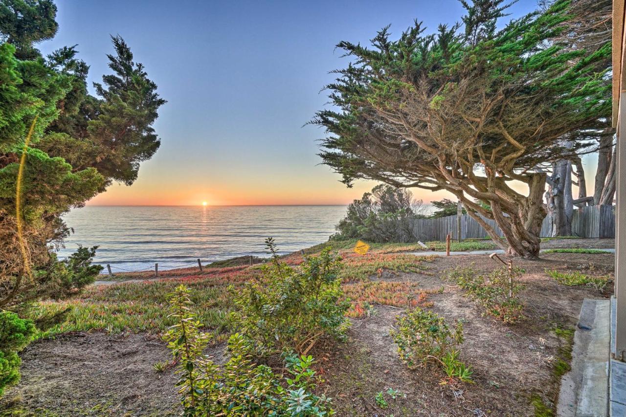 Apartamento Cliffside Pacifica Hideaway Unbeatable View! Exterior foto